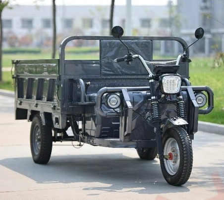 Cargo E-Tricycle V-C100