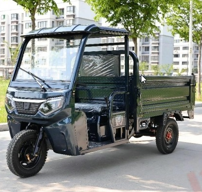 Cargo electric tricycle V-L100