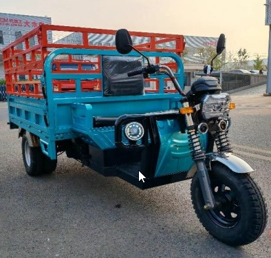 Elevated electric tricycle V-L100